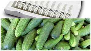 Rezepte für Masken zur Verjüngung der Haut der Hände